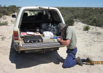 Environmental - Dieback Survey 2012